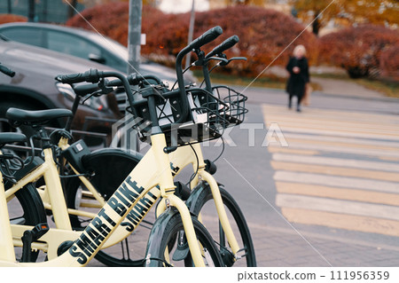 A bicycle is parked on the roadside, its tires and wheels gleaming in the sunlight as a distinctive bicycle accessory 111956359