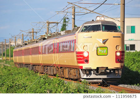 羽越本線 中條金塚 JR 東日本 485 系列 T18 編組(新潟) 稻穗 羽越本線 中條金塚 JR 東日本 485 系列 T18 編組(新潟) 稻穗 111956675