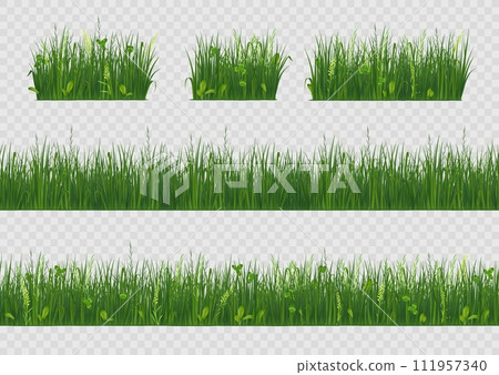 Spring grass. 3d field vegetation, fresh green line lawn meadow, park landscape farm bar or border for ecology banner. Realistic natural environment. Summer herbal plants. Vector isolated set 111957340