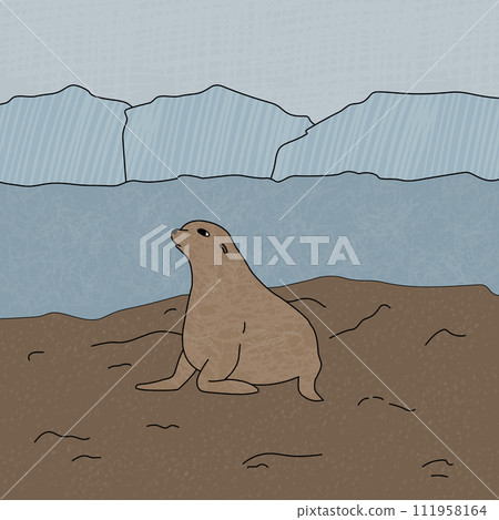 Hand drawn vector fur seal illustration. Cartoon outline animal of Antarctica on the beach near icebergs with textures 111958164