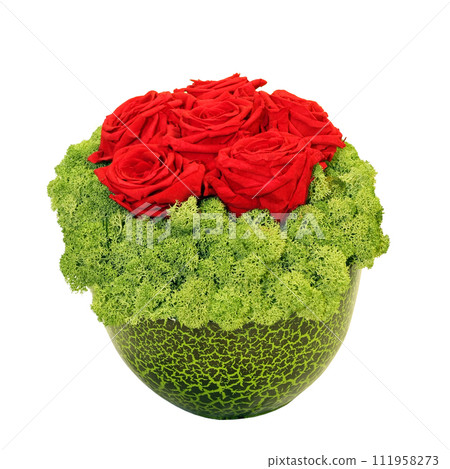 Roses in pot 111958273