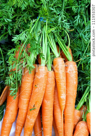 Carrots Carrots 111958307