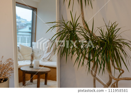 Stylish living room, interior, sofa reflected in the mirror Stylish living room, interior, sofa reflected in the mirror 111958581