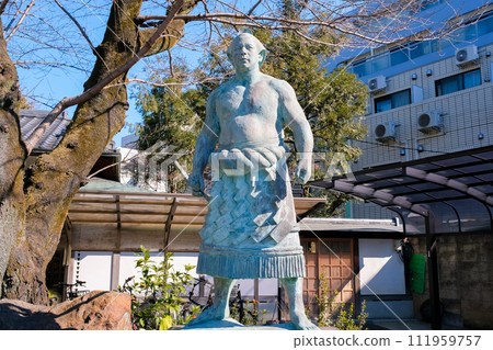 Chiyonofuji Statue, Gyokurinji Temple, Taito Ward, Tokyo Chiyonofuji Statue, Gyokurinji Temple, Taito Ward, Tokyo 111959757
