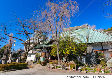 Gyokurinji Temple, Taito Ward, Tokyo Gyokurinji Temple, Taito Ward, Tokyo 111959759