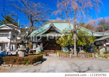 東京都台東區玉林寺 東京都台東區玉林寺 111959760