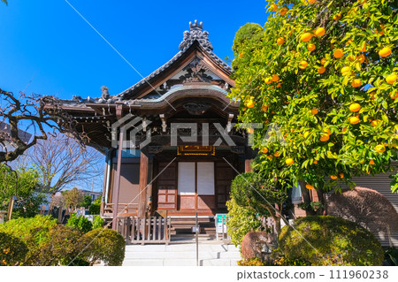 東京都台東區上正寺 東京都台東區上正寺 111960238