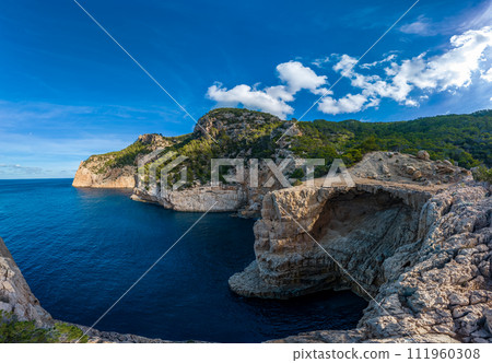 Breathtaking Coastal Cliffs and Lush Forests Under Blue Skies Breathtaking Coastal Cliffs and Lush Forests Under Blue Skies 111960308