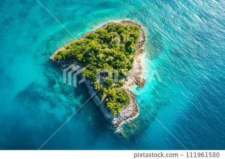 A small green island surrounded by perfect turquoise water in sunlight 111961580