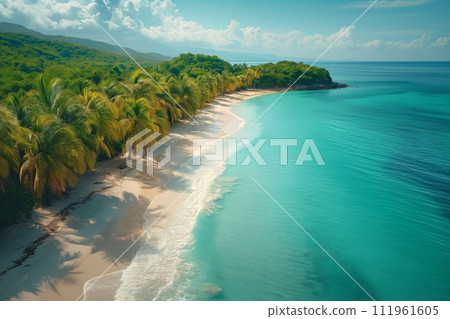 Aerial view of tropical green palm trees forest by the ocean beach in sunlight 111961605