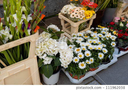 Many different flowers on Showcase. Background of mix of flowers. Floral shop and delivery concept. Spring time 111962038