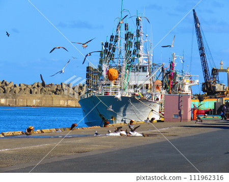 Ch子漁港 111962316