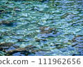清澈的海水中泛起漣漪 111962656