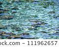 清澈的海水中泛起漣漪 111962657