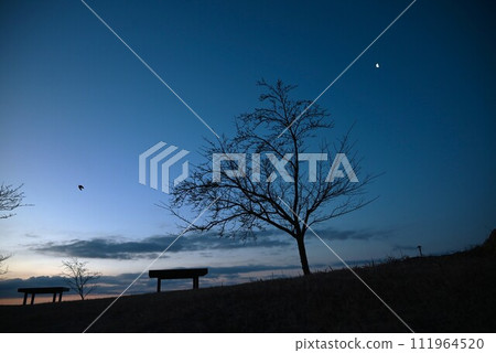 Abstract background material before dawn Abstract background material before dawn 111964520