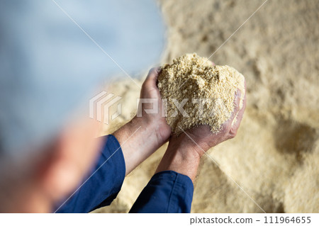 Hands of farmer holding soy flour Hands of farmer holding soy flour 111964655