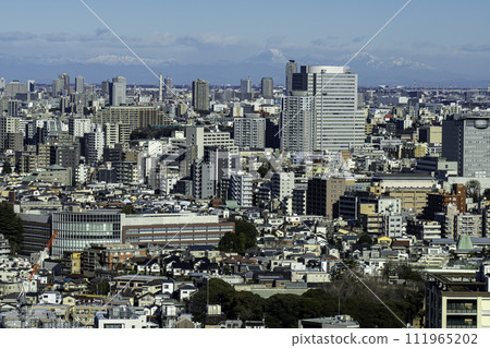 A view of the city center from the observatory 111965202