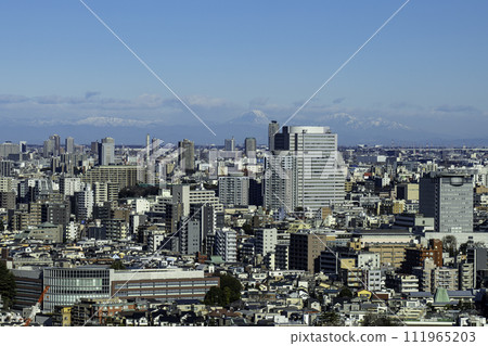 A view of the city center from the observatory 111965203