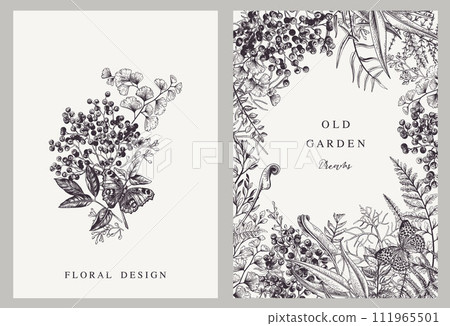 Vector cards with elderberry, leaves and butterfly. Linear art. Floral pattern. Botanical illustration. Vintage. Black and white. 111965501