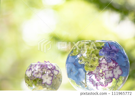 Hydrangea ball Hydrangea ball 111965772