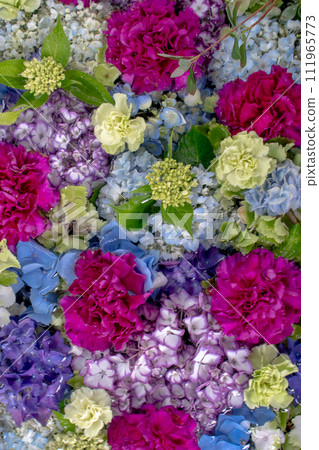 八仙花屬花手水 八仙花屬花手水 111965773