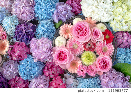 繡球花和玫瑰花洗液 111965777