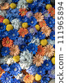 Gerbera flower hand water 111965894