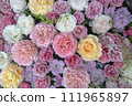 rose flower wash 111965897