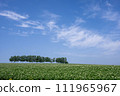 Mild Seven Hills 111965967