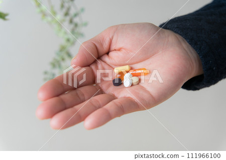 手用補品 111966100