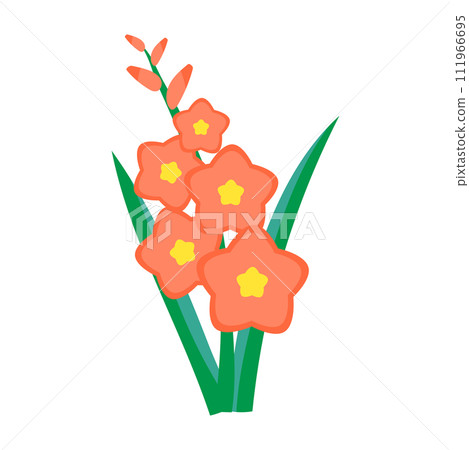 Gladiolus 111966695