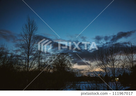 烏託內日落與樹剪影 111967017