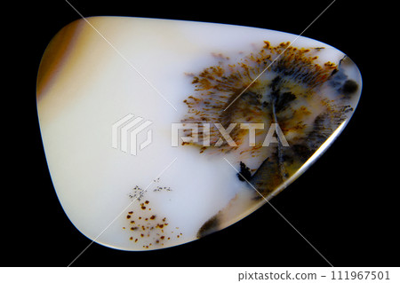 樹枝狀瑪瑙 蘊含風景的石頭 111967501