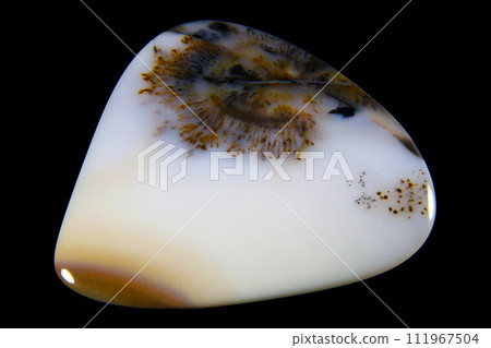 樹枝狀瑪瑙 蘊含風景的石頭 樹枝狀瑪瑙 蘊含風景的石頭 111967504