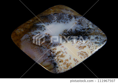 Dendritic Agate A stone that harbors landscapes 111967507