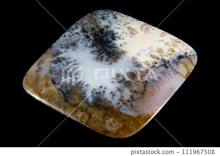 Dendritic Agate A stone that harbors landscapes 111967508