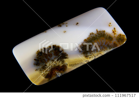 Dendritic Agate A stone that harbors landscapes Dendritic Agate A stone that harbors landscapes 111967517