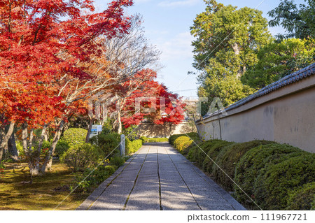 秋天的京都:大德寺法修院與女庵的走法 秋天的京都:大德寺法修院與女庵的走法 111967721