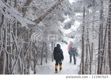 Ice-covered trees, climbers, and snowy scenery on the Shibunoyu route (Higashi-Tengu to Nakayama Pass) on Mt. Higashi-Tengu during the harsh winter in Chino City, Nagano Prefecture Ice-covered trees, climbers, and snowy scenery on the Shibunoyu route (Higashi-Tengu to Nakayama Pass) on Mt. Higashi-Tengu during the harsh winter in Chino City, Nagano Prefecture 111967825