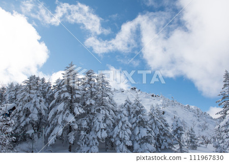 Ice-covered trees, blue skies, and snow on the Higashi-Tengu-dake Shibu-no-Yu route (Nakayama Pass to Kuroyuri-daira) in midwinter in Chino City, Nagano Prefecture Ice-covered trees, blue skies, and snow on the Higashi-Tengu-dake Shibu-no-Yu route (Nakayama Pass to Kuroyuri-daira) in midwinter in Chino City, Nagano Prefecture 111967830