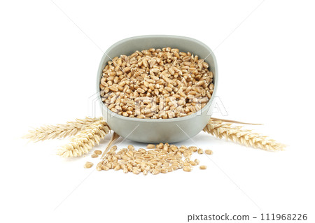 Bowl filled with wheat grains and ear of wheat isolated on white Bowl filled with wheat grains and ear of wheat isolated on white 111968226