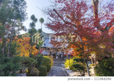 京都佐賀妙湯久遠寺境內美麗的秋葉 京都佐賀妙湯久遠寺境內美麗的秋葉 111968260