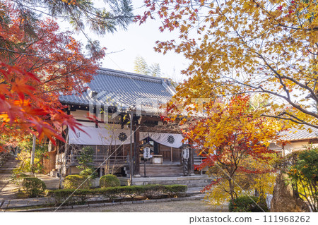 京都佐賀妙湯久遠寺境內美麗的秋葉 京都佐賀妙湯久遠寺境內美麗的秋葉 111968262