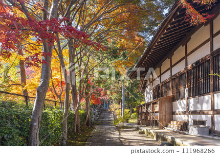 Beautiful autumn leaves in the precincts of Myoyu Kuonji Temple in Saga, Kyoto Beautiful autumn leaves in the precincts of Myoyu Kuonji Temple in Saga, Kyoto 111968266