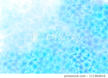 Hydrangea rainy season flower background 111968658