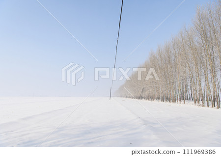 在樹的雪路 111969386
