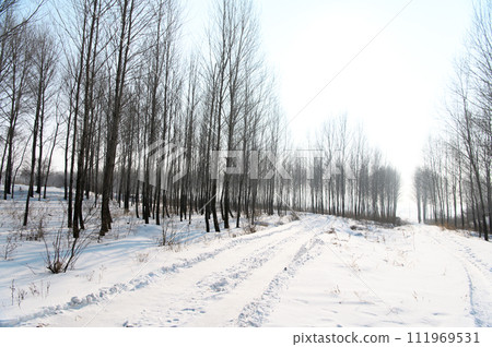 Snow road in the trees 111969531