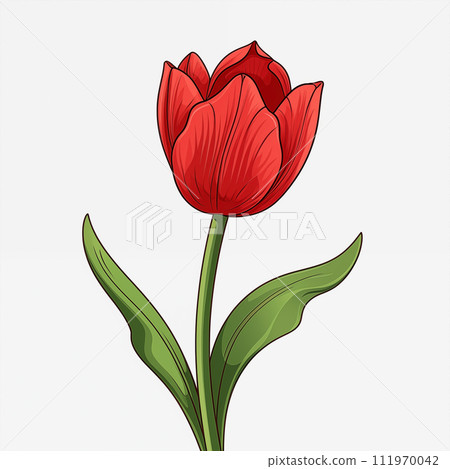 cartoon tulip illustration material 111970042