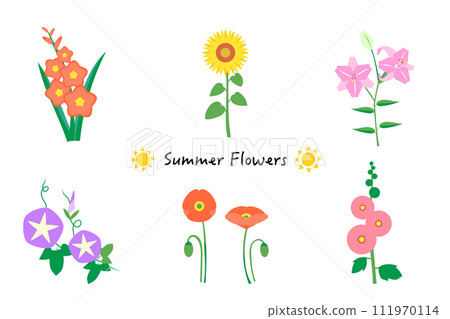 Summer flower illustration set Summer flower illustration set 111970114