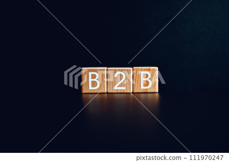 Wooden blocks form the text "B2B" against a black background. Wooden blocks form the text "B2B" against a black background. 111970247